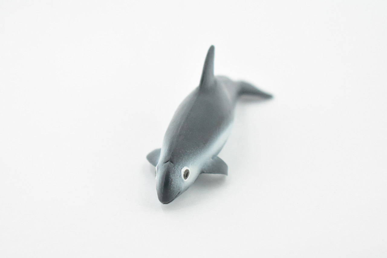 Dolphin,  Vaquita Dolphin, Porpoise, Marine Mammal, Rubber Animal, Realistic Toy Figure, Model, Replica, Kids, Hand Painted, Educational, Gift,       4"      CH450 BB114