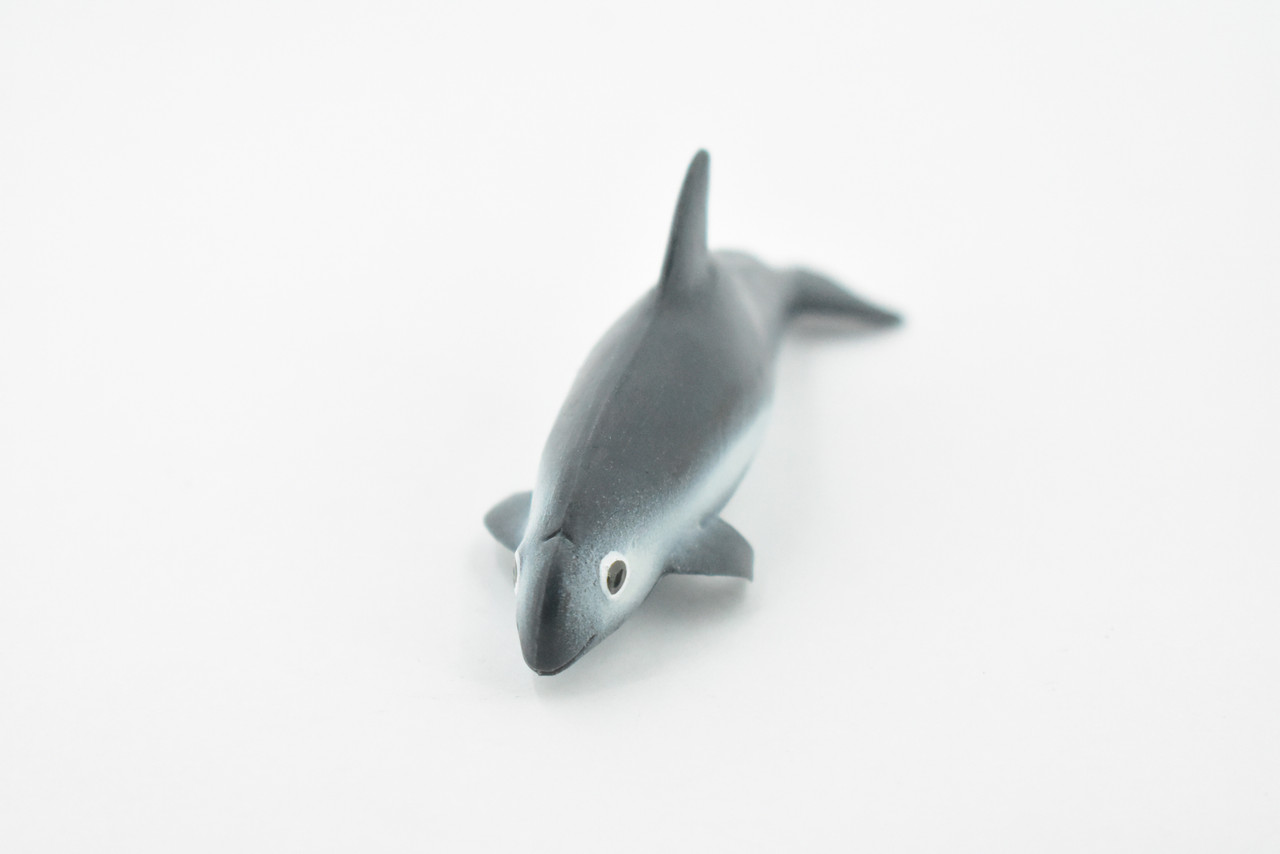 Dolphin, Vaquita Dolphin, Porpoise, Marine Mammal, Rubber Animal, Hand Painted, Rubber, Educational Design, Diorama Model, Toy, Kids,   4 Inches.