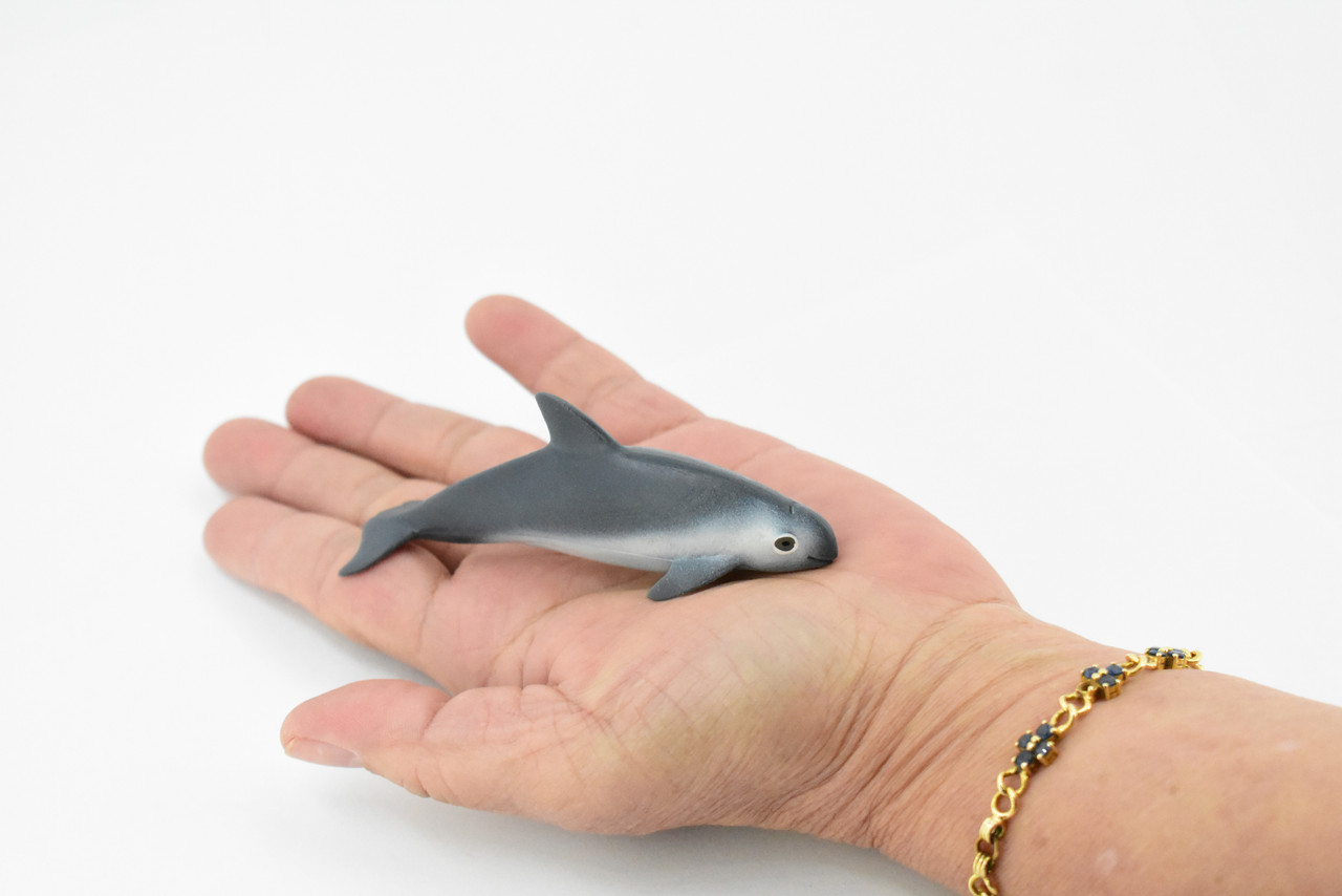 Dolphin,  Vaquita Dolphin, Porpoise, Marine Mammal, Rubber Animal, Realistic Toy Figure, Model, Replica, Kids, Hand Painted, Educational, Gift,       4"      CH450 BB114