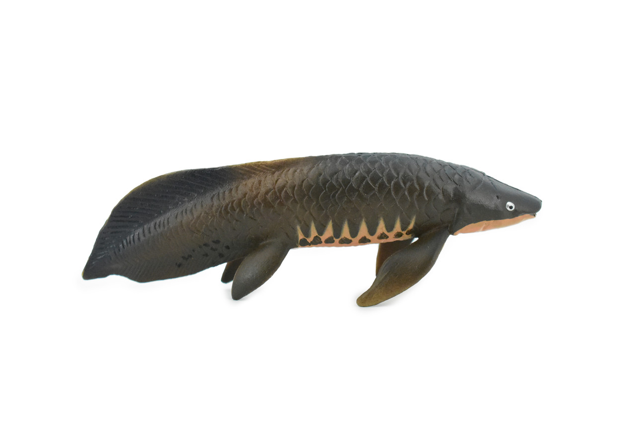 Fish, Arapaima gigas, Piraucu, Amazon, Rubber Fish, Hand Painted, Realistic Toy Figure, Model, Replica, Kids, Educational, Gift,     4 1/2"    CH452 BB114