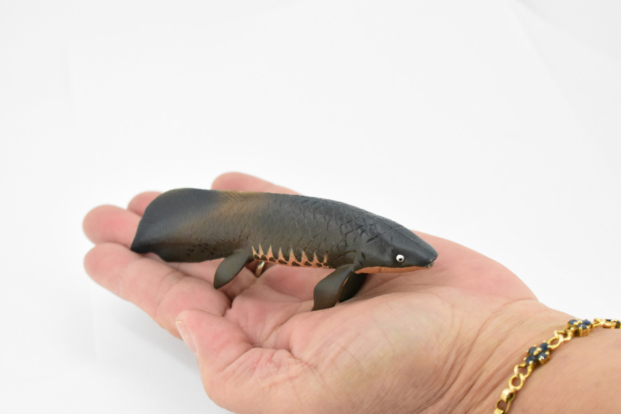 Fish, Arapaima gigas, Piraucu, Amazon, Rubber Fish, Hand Painted, Realistic Toy Figure, Model, Replica, Kids, Educational, Gift,     4 1/2"    CH452 BB114