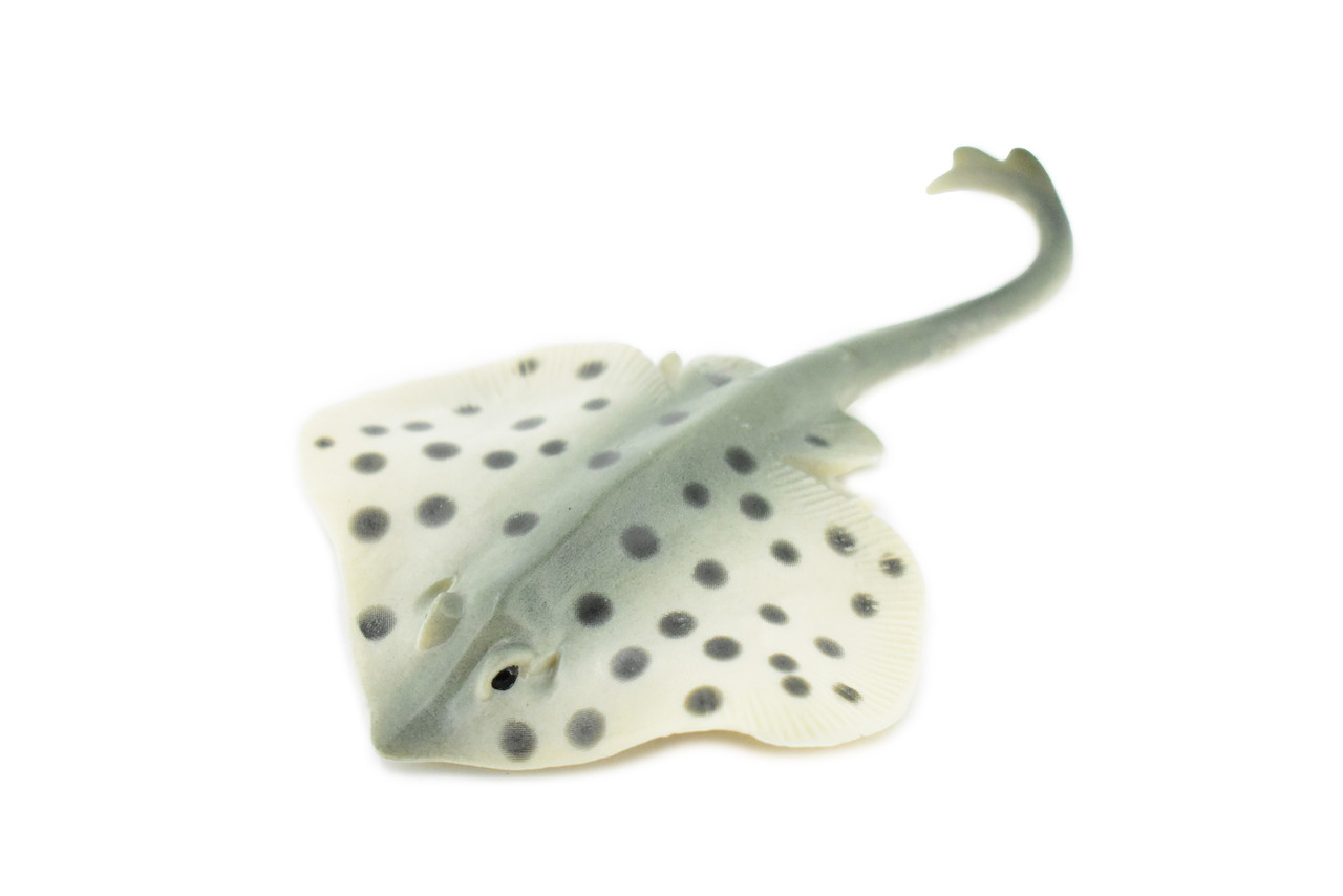 Sting Ray, Spotted Stingray, Museum Quality, Rubber Fish, Hand Painted, Realistic Toy Figure, Diorama Model, Replica, Kids, Educational,  4 1/2 Inches. 
