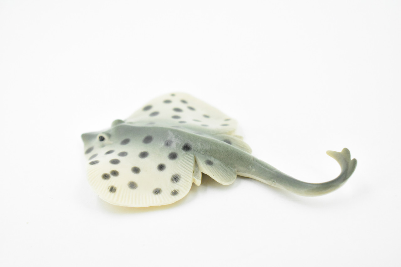 Sting Ray, Spotted Stingray, Museum Quality, Rubber Fish, Hand Painted, Realistic Toy Figure, Diorama Model, Replica, Kids, Educational,  4 1/2 Inches. 