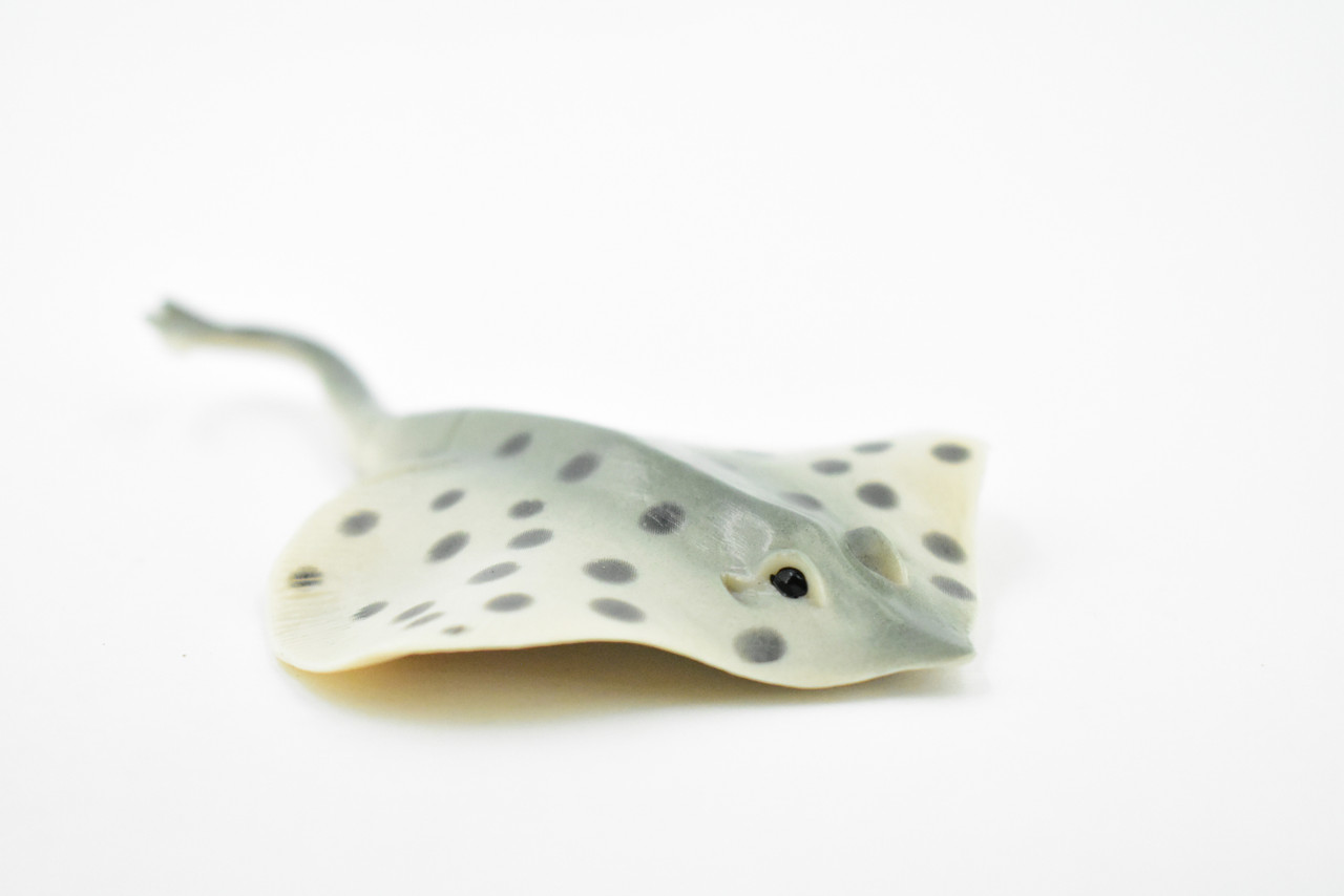 Sting Ray, Spotted Stingray, Museum Quality, Rubber Fish, Hand Painted, Realistic Toy Figure, Diorama Model, Replica, Kids, Educational,  4 1/2 Inches. 