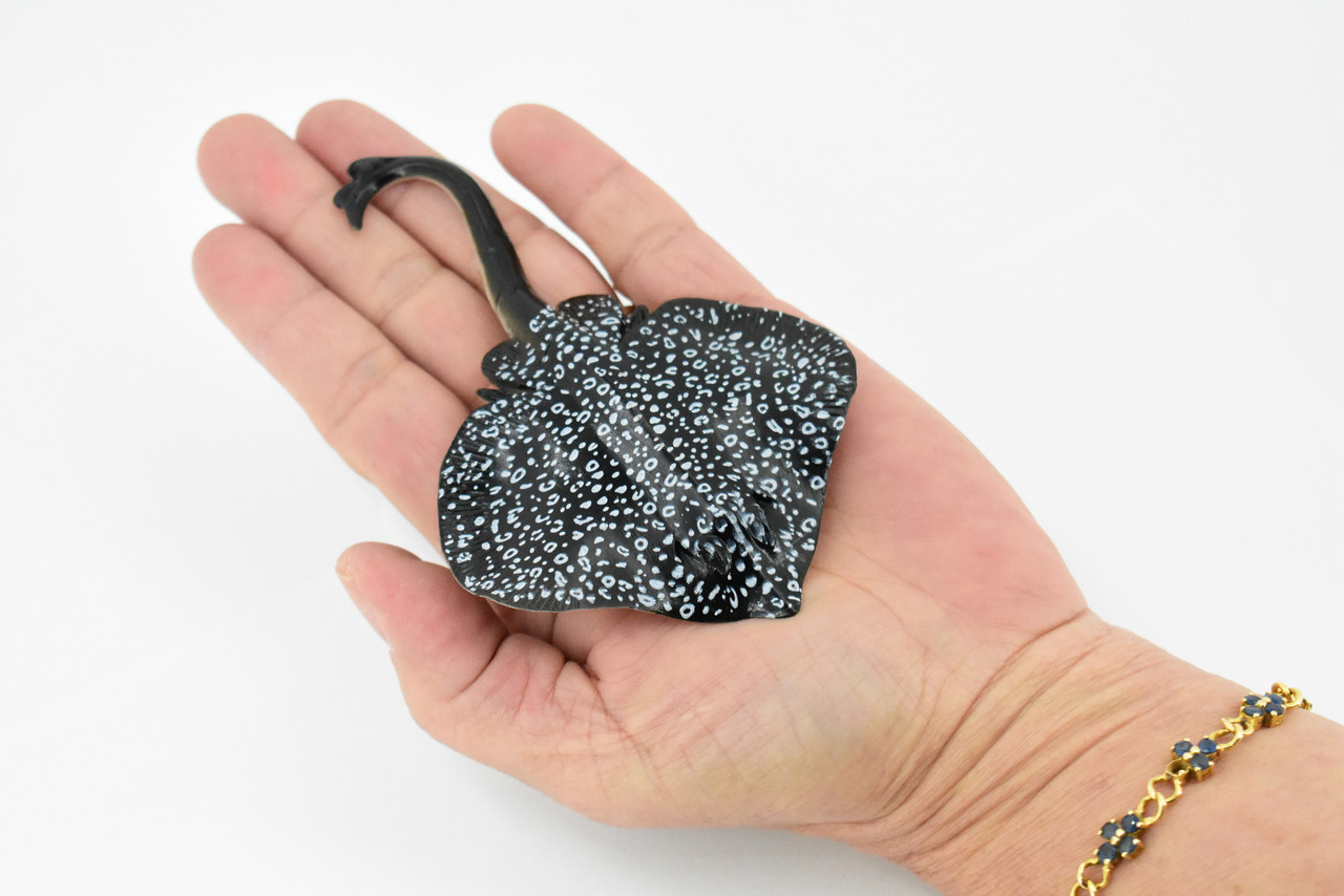 Eagle Ray, Spotted Eagle Ray, Museum Quality, Rubber Fish, Hand Painted, Realistic Toy Figure, Diorama Model, Replica, Kids, Educational,  4 1/2 Inches.