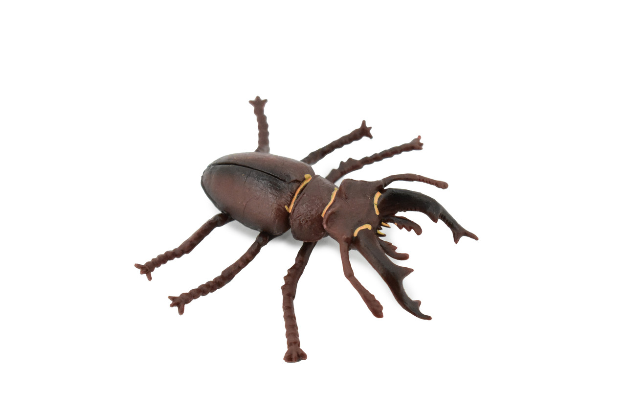 Beetle, Stag, Rubber Insect, Hand Painted, Realistic Toy Figure, Model, Replica, Kids, Educational, Gift,       3"    CH456 BB114