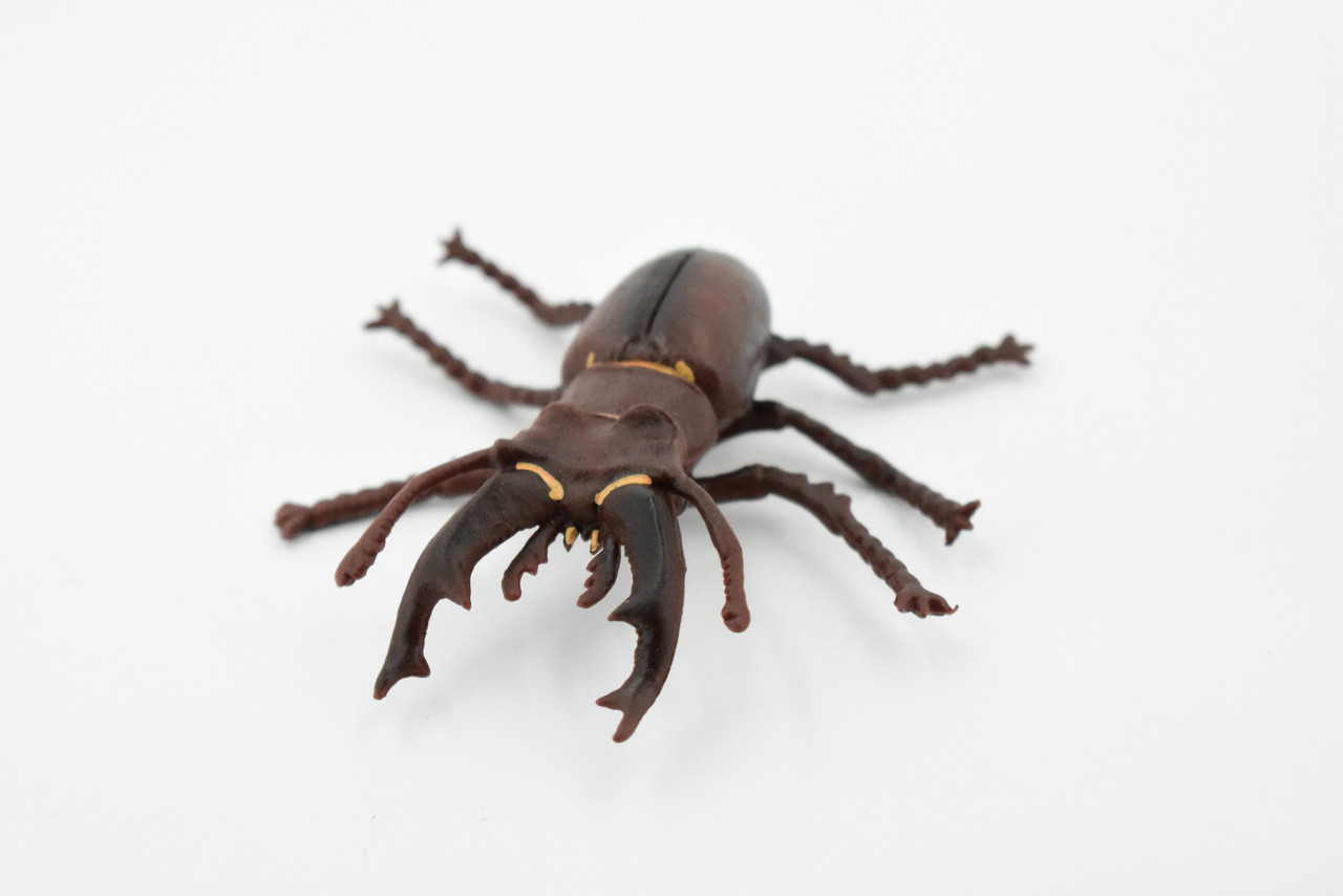 Beetle, Stag, Rubber Insect, Hand Painted, Realistic Toy Figure, Model, Replica, Kids, Educational, Gift,       3"    CH456 BB114