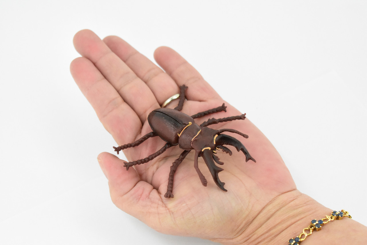 Beetle, Stag, Rubber Insect, Hand Painted, Realistic Toy Figure, Model, Replica, Kids, Educational, Gift,       3"    CH456 BB114