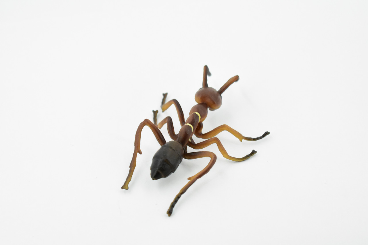 Ant, Red Fire Ant, Rubber Insect, Hand Painted, Realistic Toy Figure, Model, Replica, Kids, Educational, Gift,       4"      CH457 BB114