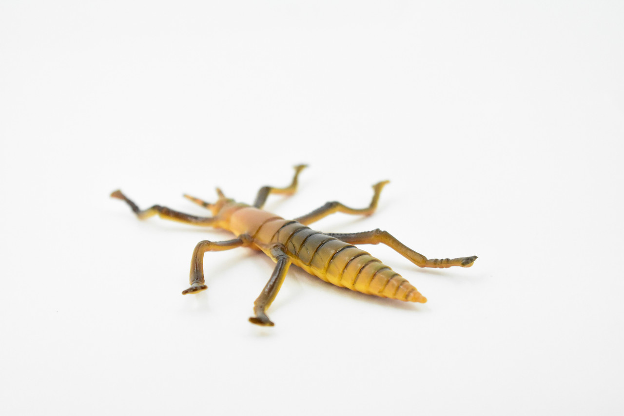 Stick Insect, Phasmatodea, Rubber Insect, High Quality, Hand Painted, Educational, Realistic Toy Figure, Diorama Model, Replica, Kids,  4 1/2 Inches. 