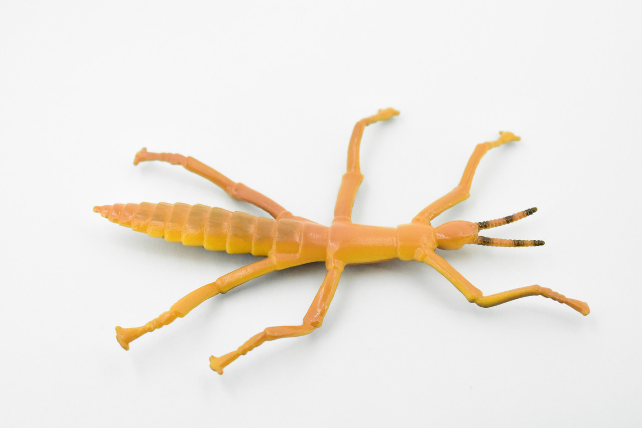 Stick Insect, Phasmatodea, Rubber Insect, Hand Painted, Realistic Toy Figure, Model, Replica, Kids, Educational, Gift,     4 1/2"    CH458 BB114