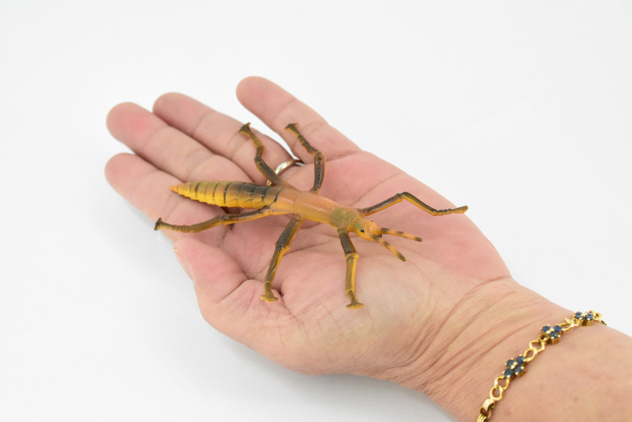 Stick Insect, Phasmatodea, Rubber Insect, High Quality, Hand Painted, Educational, Realistic Toy Figure, Diorama Model, Replica, Kids,  4 1/2 Inches. 