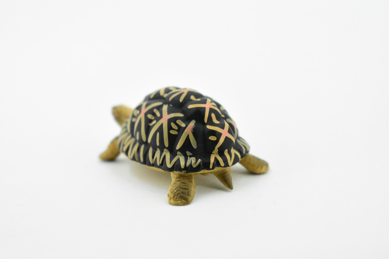 Tortoise, Indian Star Tortoise, Testudinidae, Hand Painted, Realistic Toy Figure, Model, Replica, Kids, Educational, Gift,       2"     CH462 BB114