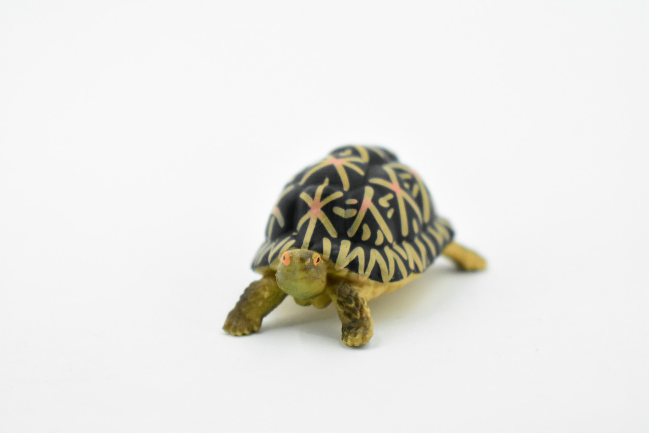 Tortoise, Indian Star Tortoise, Testudinidae, Hand Painted, Realistic Toy Figure, Model, Replica, Kids, Educational, Gift,       2"     CH462 BB114