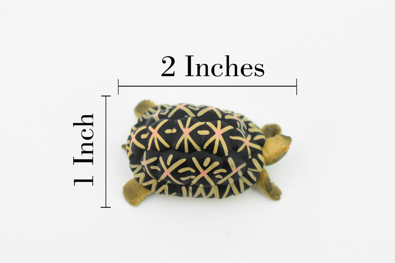 Tortoise, Indian Star Tortoise, Testudinidae, Hand Painted, Museum Quality, Educational, Realistic Toy Figure, Diorama Model, Kids,  2 Inches. 