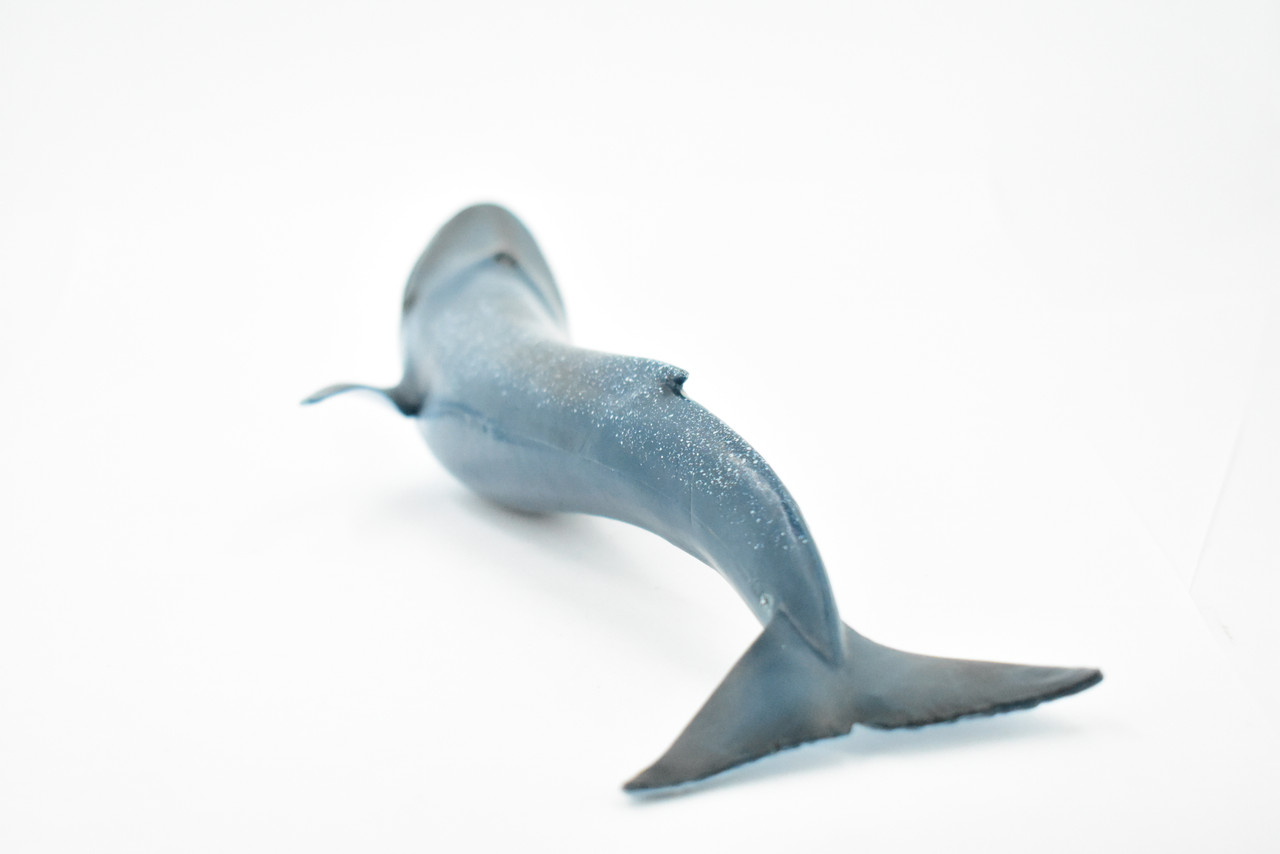 Blue Whale, Marine Mammal, Hand Painted, Museum Quality, Beautiful Rubber Animal,  Realistic Toy Figure, Model, Educational, Gift,      10"    CH185 BB115