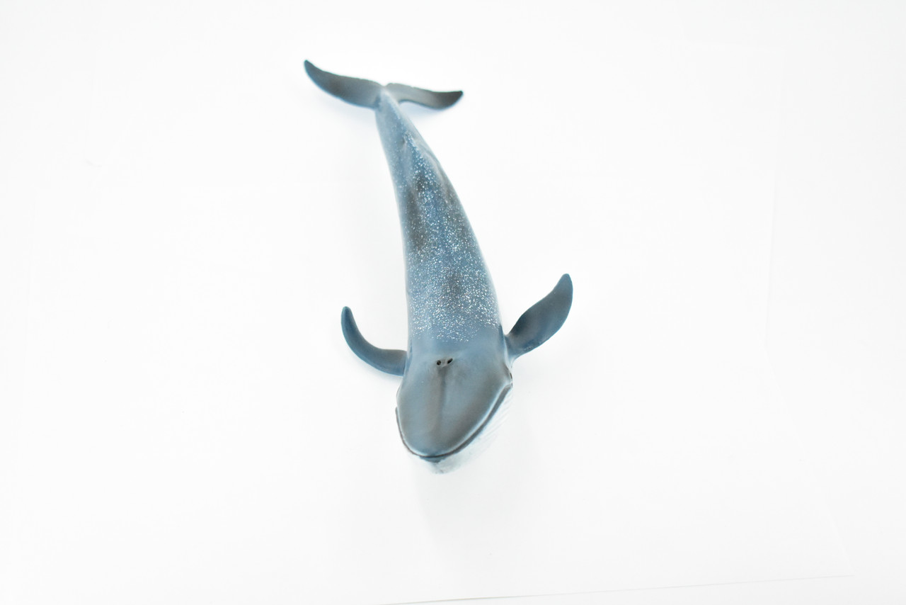 Blue Whale, Marine Mammal, Museum Quality, Hand Painted, Educational, Rubber Animal, Realistic Toy Figure, Diorama Model, Kids, 10 Inches.