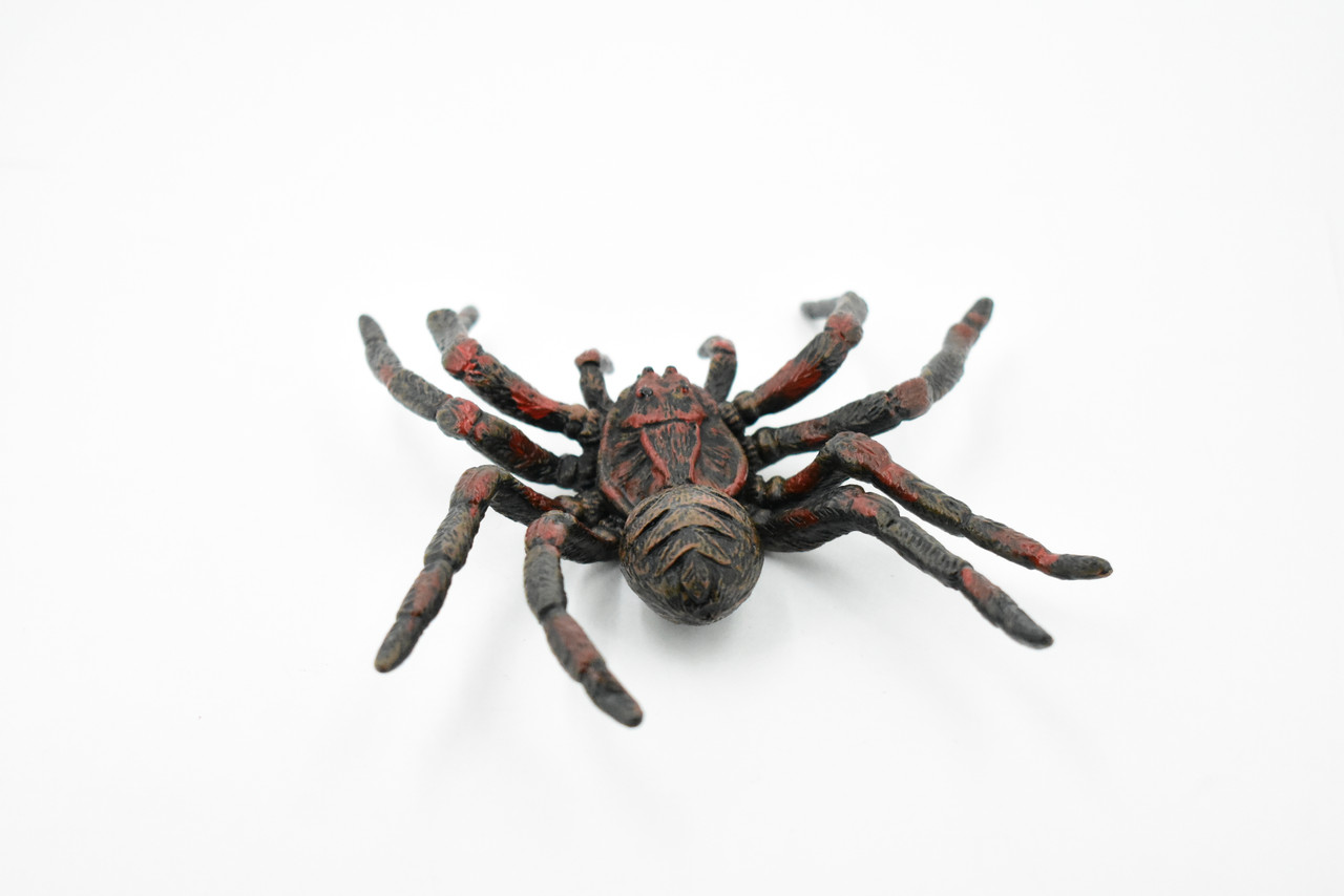 Spider, Wolf Spider, Arachnida, Rubber Insect, Hand Painted, Realistic Toy Figure, Model, Replica, Kids, Educational, Gift,       5"      CH186 BB115