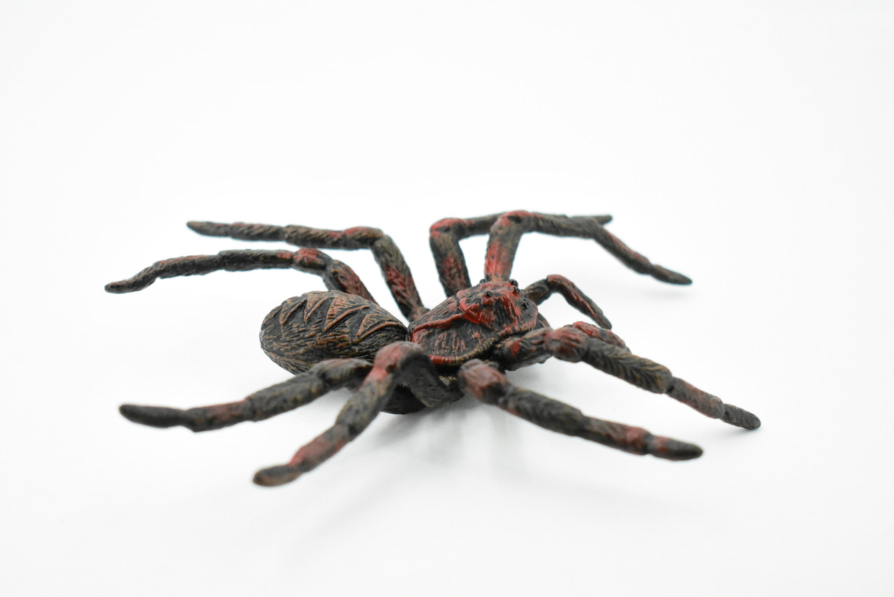 Spider, Wolf Spider, Arachnida, Rubber Insect, Hand Painted, Realistic Toy Figure, Model, Replica, Kids, Educational, Gift,       5"      CH186 BB115