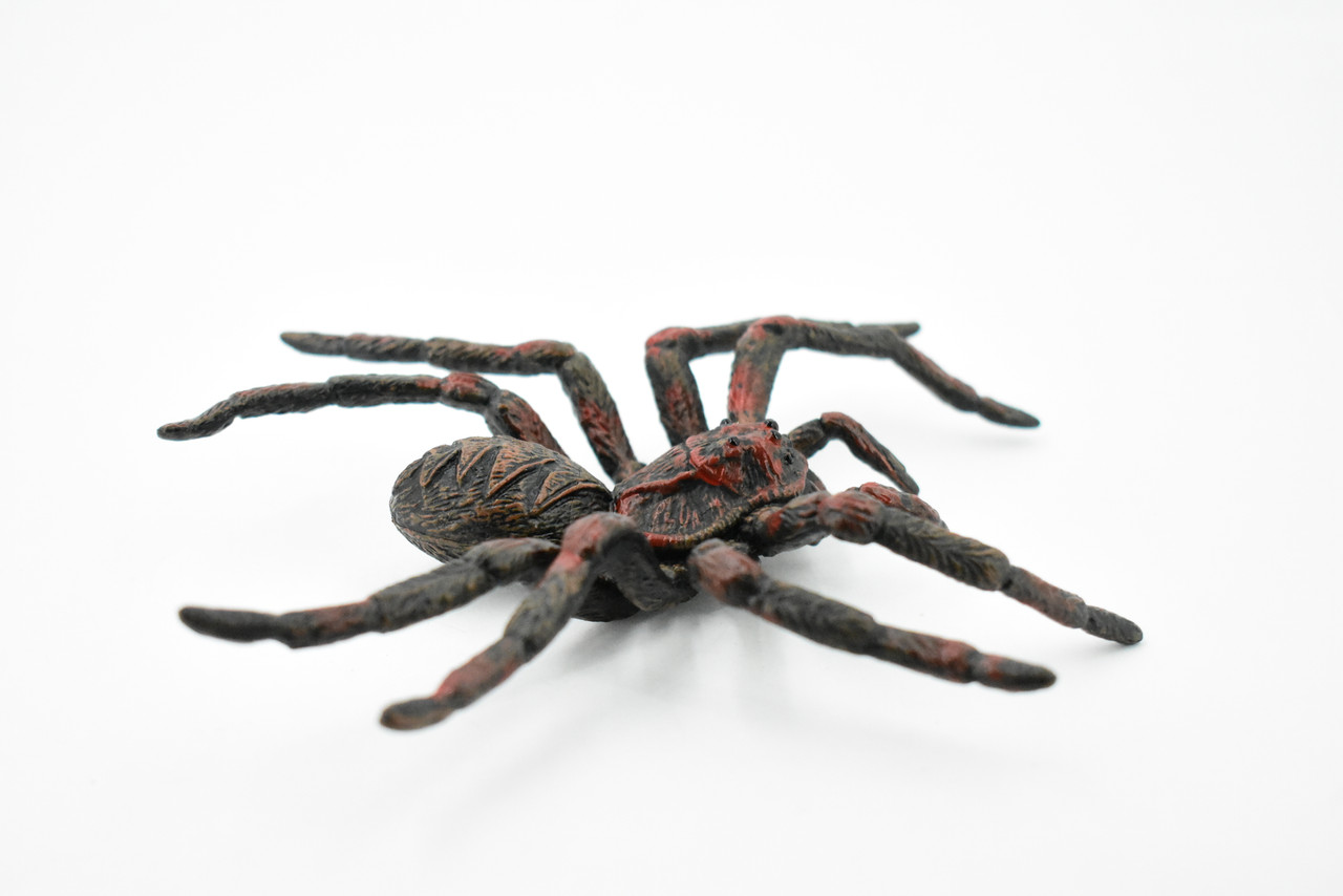 Wolf Spider, Arachnida, Museum Quality, Educational, Hand Painted, Rubber Insect, Diorama Model, Realistic, Kids, Toys, 5 Inches. 