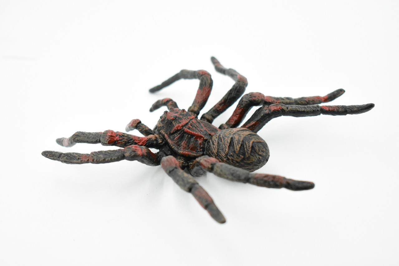 Spider, Wolf Spider, Arachnida, Rubber Insect, Hand Painted, Realistic Toy Figure, Model, Replica, Kids, Educational, Gift,       5"      CH186 BB115