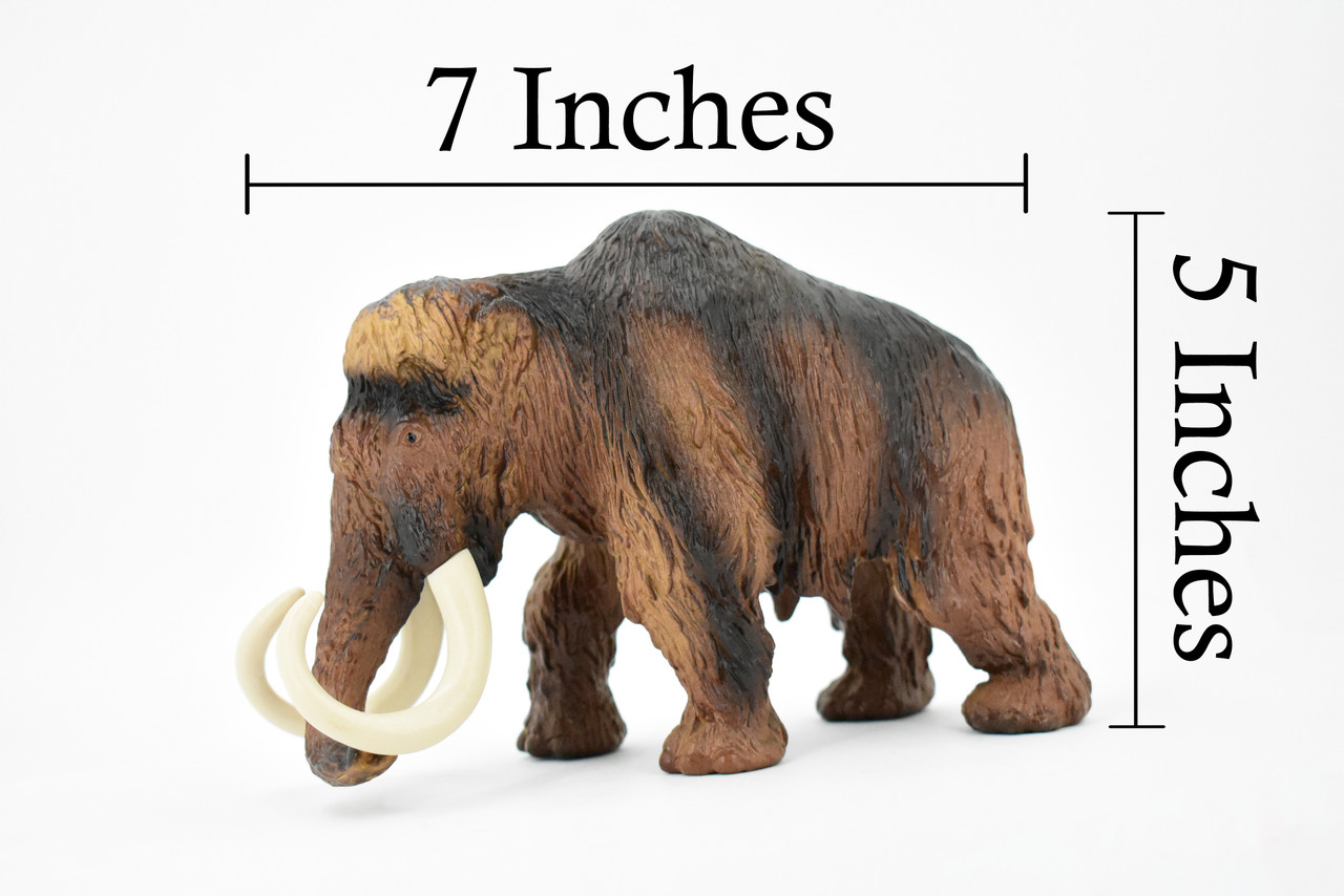 Wooly Mammoth, Prehistoric Mammal, Museum Quality, Hand Painted, Realistic Toy Figure, Model, Replica, Kids, Educational, Gift,     7"     CH187 BB115