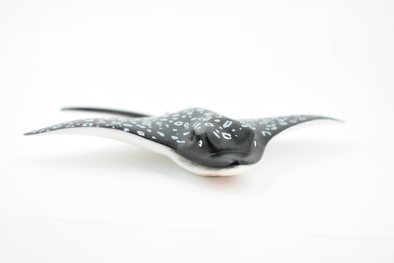 Spotted Eagle Ray, Bonnet ray, Duckbill ray, Museum Quality, Educational, Rubber Fish, Hand Painted, Realistic Toy Figure, Diorama Model, Kids, 6 Inches. 