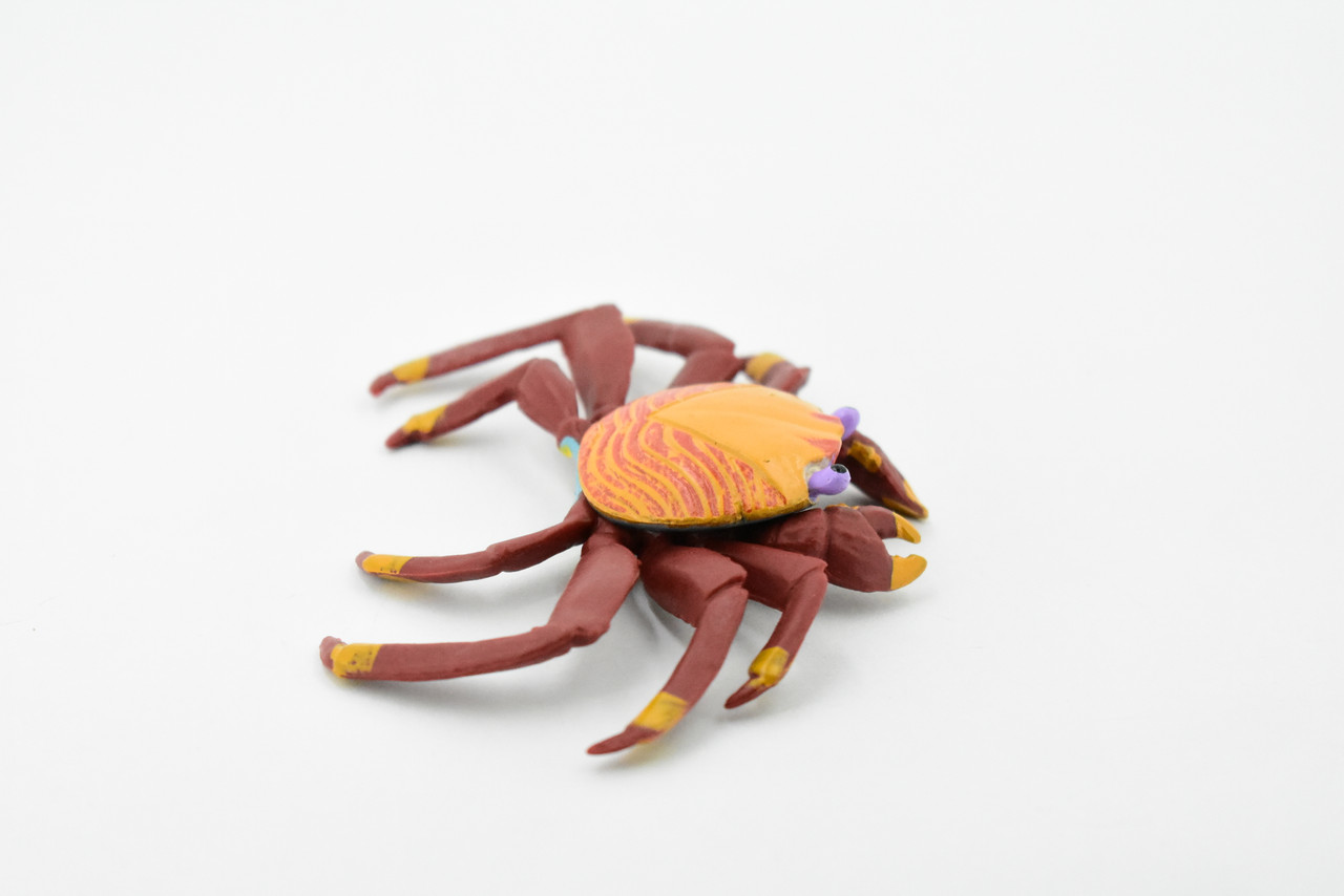 Crab, Sally Lightfoot Scud Crab, Museum Quality, Hand Painted, Rubber Crustaceans, Realistic Toy Figure, Model, Replica, Kids, Educational, Gift,       4"    CH192 BB116