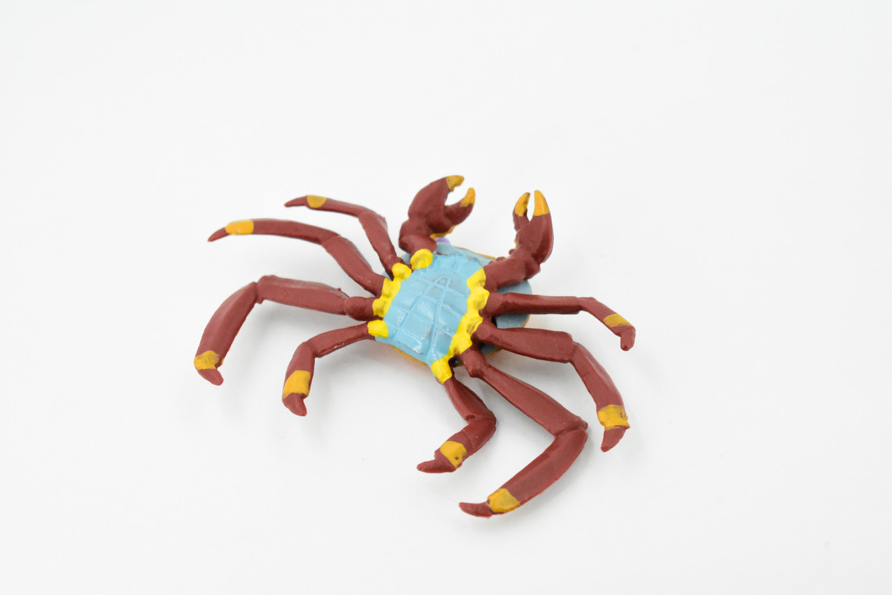 Crab, Sally Lightfoot Scud Crab, Museum Quality, Hand Painted, Rubber Crustaceans, Realistic Toy Figure, Model, Replica, Kids, Educational, Gift,       4"    CH192 BB116