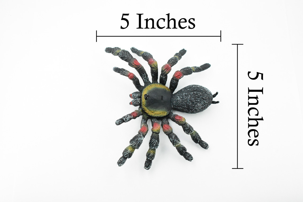 Tarantula Spider, Red Knee, Arachnida, Museum Quality, Educational, Hand Painted, Rubber Insect, Diorama Model, Realistic, Kids, Toys,  5 Inches. 