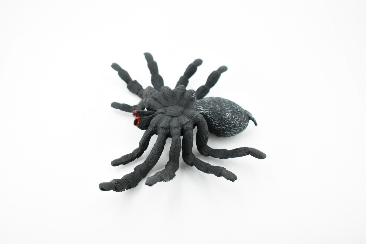 Spider, Tarantula,  Red Knee, Museum Quality, Hand Painted, Rubber Arachnida, Realistic Toy Figure, Model, Replica, Kids, Educational, Gift,      5"     CH193 BB116