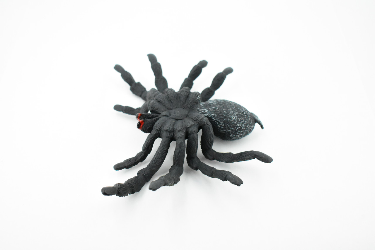 Tarantula Spider, Red Knee, Arachnida, Museum Quality, Educational, Hand Painted, Rubber Insect, Diorama Model, Realistic, Kids, Toys,  5 Inches. 