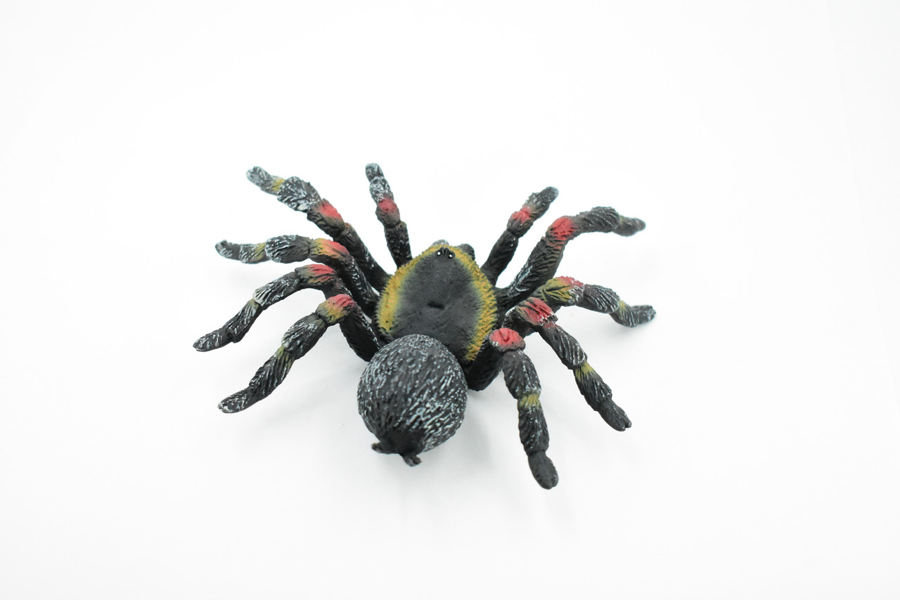 Spider, Tarantula,  Red Knee, Museum Quality, Hand Painted, Rubber Arachnida, Realistic Toy Figure, Model, Replica, Kids, Educational, Gift,      5"     CH193 BB116
