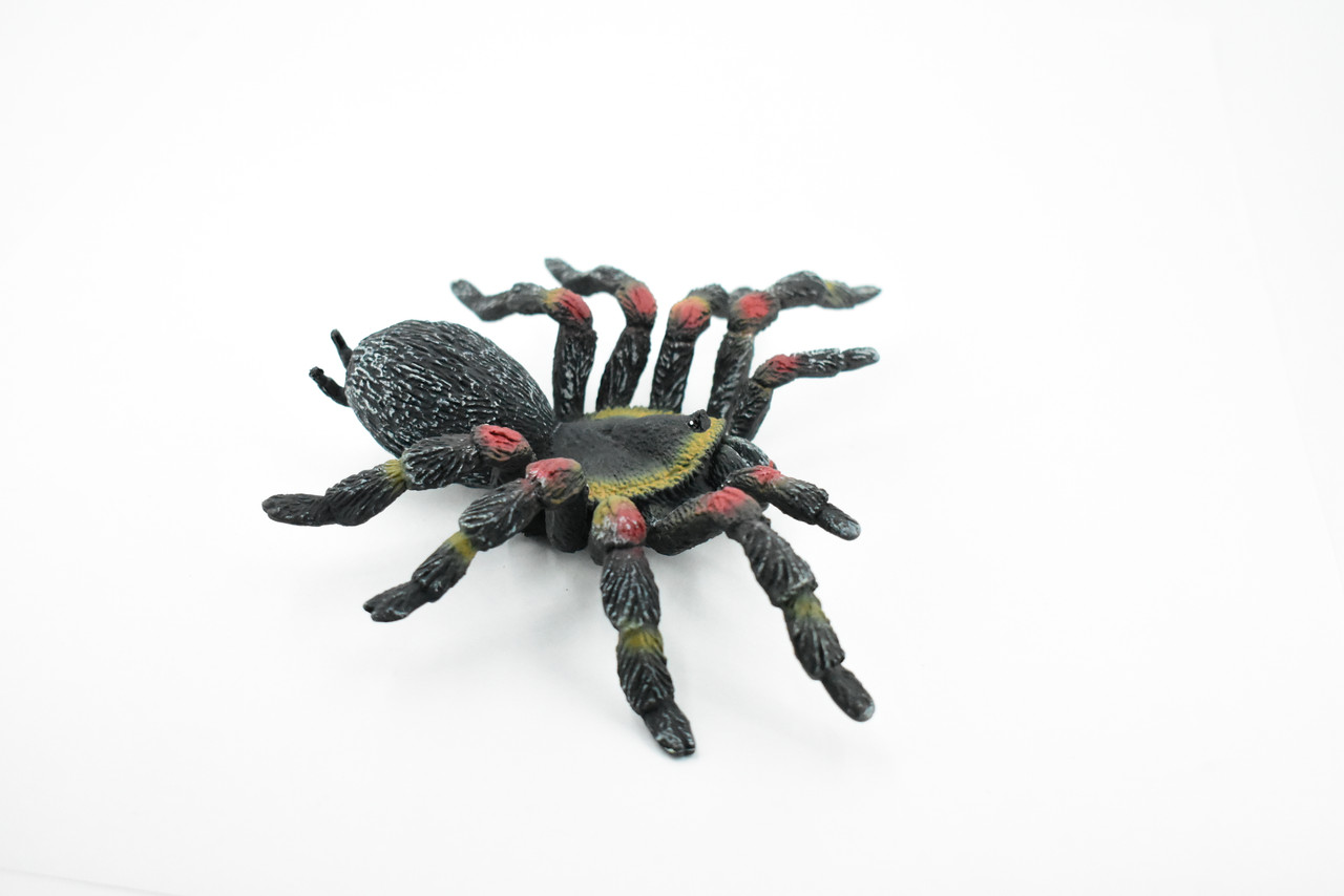 Spider, Tarantula,  Red Knee, Museum Quality, Hand Painted, Rubber Arachnida, Realistic Toy Figure, Model, Replica, Kids, Educational, Gift,      5"     CH193 BB116