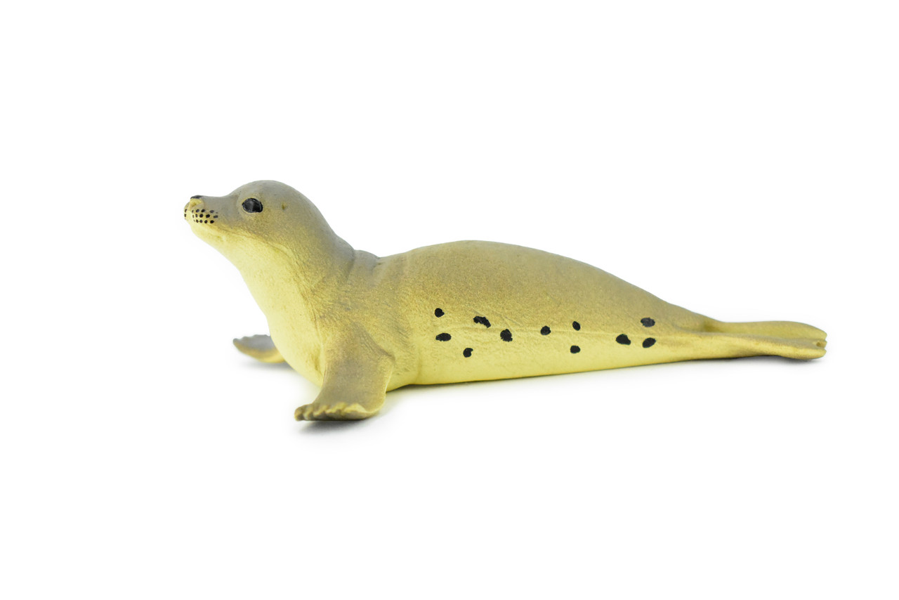 Fur Seal, Pinnipeds, Marine Mammal, Very Nice Design, Hand Painted, Educational, Rubber Fish, Diorama Model, Replica, Realistic Toy Figure, Kids,  4 Inches.