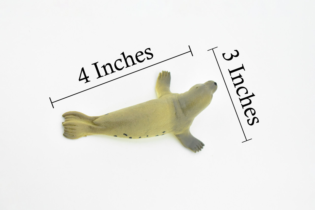 Fur Seal, Pinnipeds, Marine Mammal, Very Nice Design, Hand Painted, Educational, Rubber Fish, Diorama Model, Replica, Realistic Toy Figure, Kids,  4 Inches.