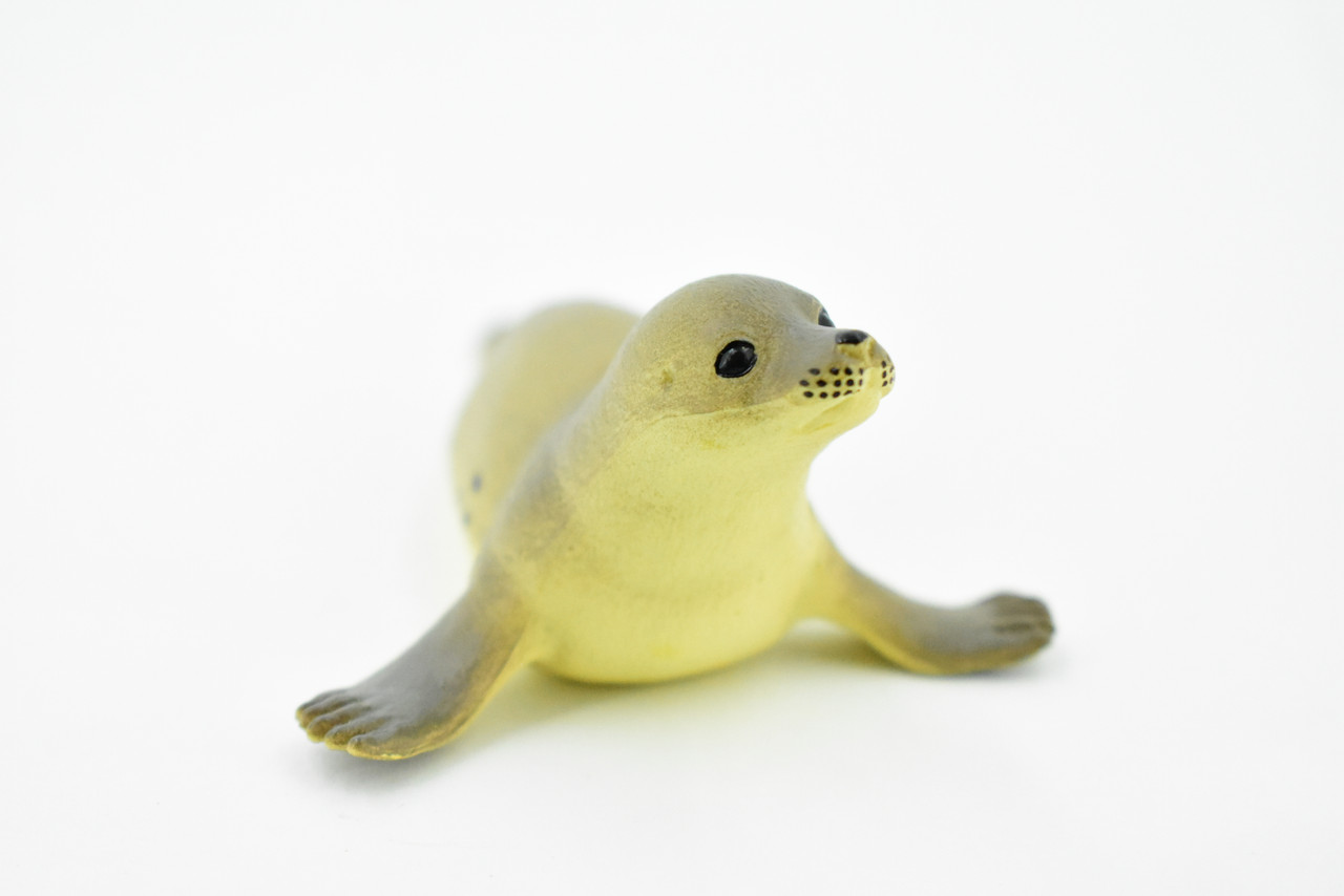 Seal, Fur Seal, Rubber Pinnipeds, Museum Quality, Hand Painted, Realistic Toy Figure, Model, Replica, Kids, Educational, Gift,      4"    CH195 BB116