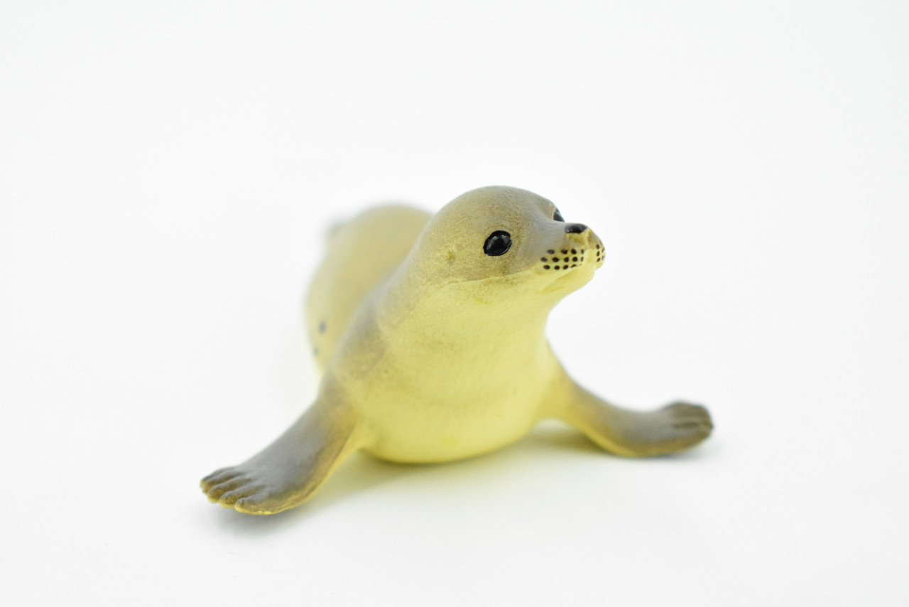 Fur Seal, Pinnipeds, Marine Mammal, Very Nice Design, Hand Painted, Educational, Rubber Fish, Diorama Model, Replica, Realistic Toy Figure, Kids,  4 Inches.