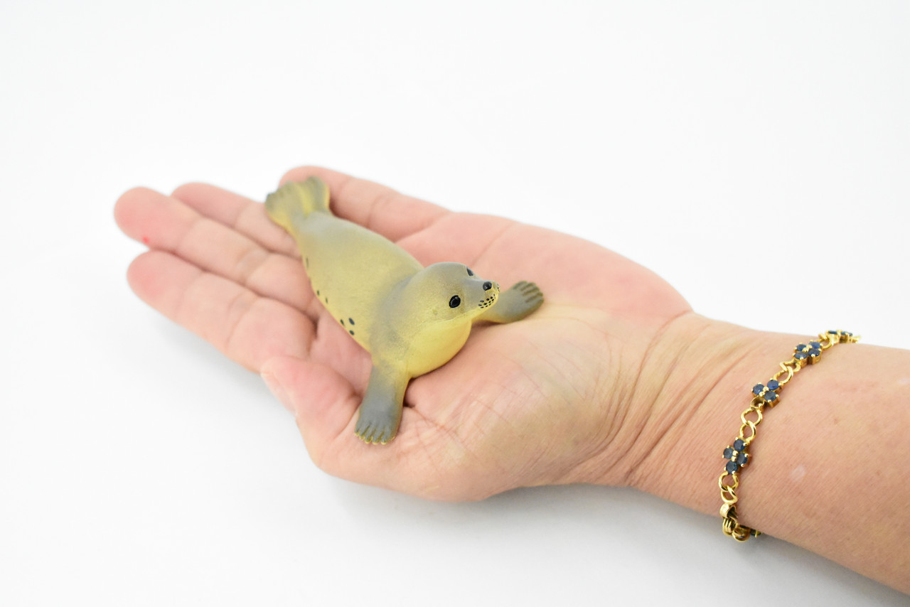 Fur Seal, Pinnipeds, Marine Mammal, Very Nice Design, Hand Painted, Educational, Rubber Fish, Diorama Model, Replica, Realistic Toy Figure, Kids,  4 Inches.