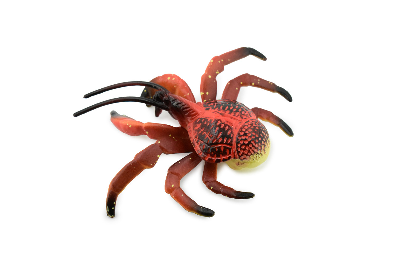 Crab, Coconut Crab, Museum Quality, Hand Painted, Rubber Crustaceans, Realistic Toy Figure, Model, Replica, Kids, Educational, Gift,       4"     CH196 BB117