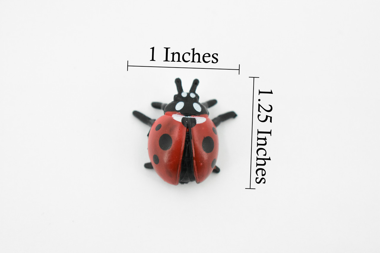 Ladybug, Lady Bug, Beetles, Hand Painted, Rubber Insect, Realistic Toy Figure, Model, Replica, Kids, Educational, Gift,       1 1/4"     CH198 BB117