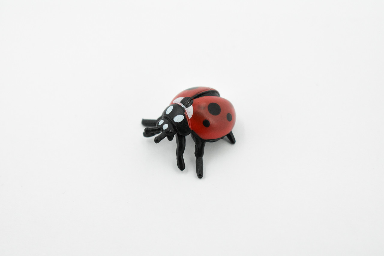 Ladybug, Lady Bug, Beetles, Hand Painted, Rubber Insect, Realistic Toy Figure, Model, Replica, Kids, Educational, Gift,       1 1/4"     CH198 BB117