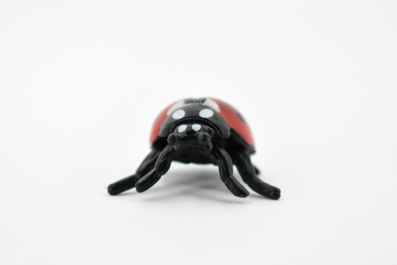 Ladybug, Lady Bug, Beetles, Hand Painted, Rubber Insect, Realistic Toy Figure, Model, Replica, Kids, Educational, Gift,       1 1/4"     CH198 BB117