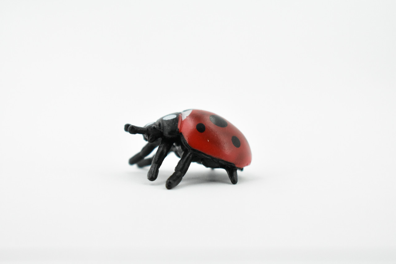 Ladybug, Lady Bug, Beetles, Hand Painted, Rubber Insect, Realistic Toy Figure, Model, Replica, Kids, Educational, Gift,       1 1/4"     CH198 BB117