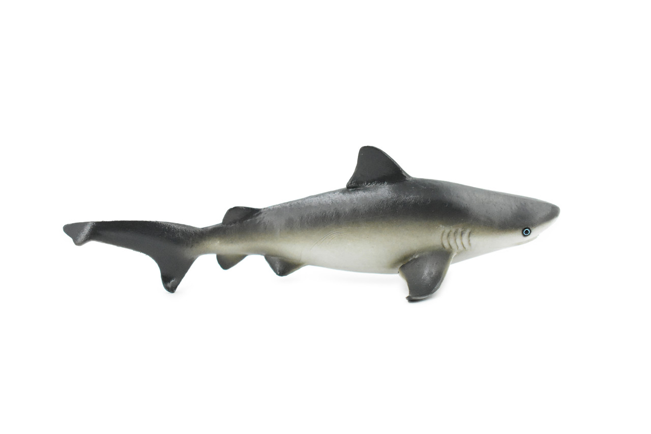  Bull Shark, Carcharhinus leucas, Museum Quality, Hand Painted, Educational, Rubber Fish, Diorama Model, Replica, Realistic Toy Figure, Kids,  6 Inches. 