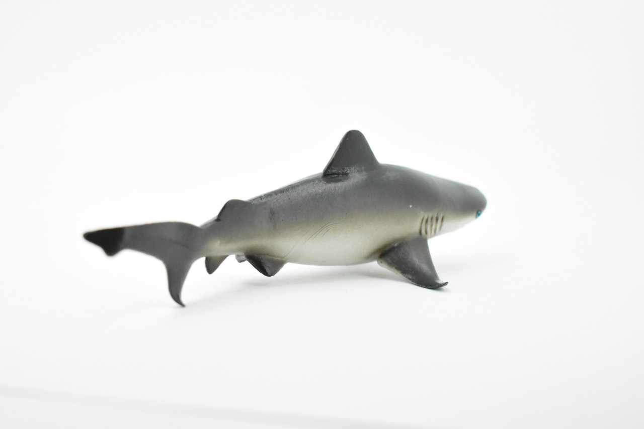  Bull Shark, Carcharhinus leucas, Museum Quality, Hand Painted, Educational, Rubber Fish, Diorama Model, Replica, Realistic Toy Figure, Kids,  6 Inches. 