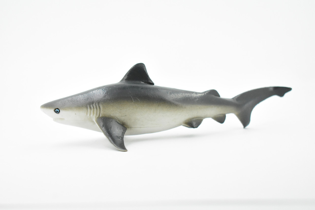  Bull Shark, Carcharhinus leucas, Museum Quality, Hand Painted, Educational, Rubber Fish, Diorama Model, Replica, Realistic Toy Figure, Kids,  6 Inches. 