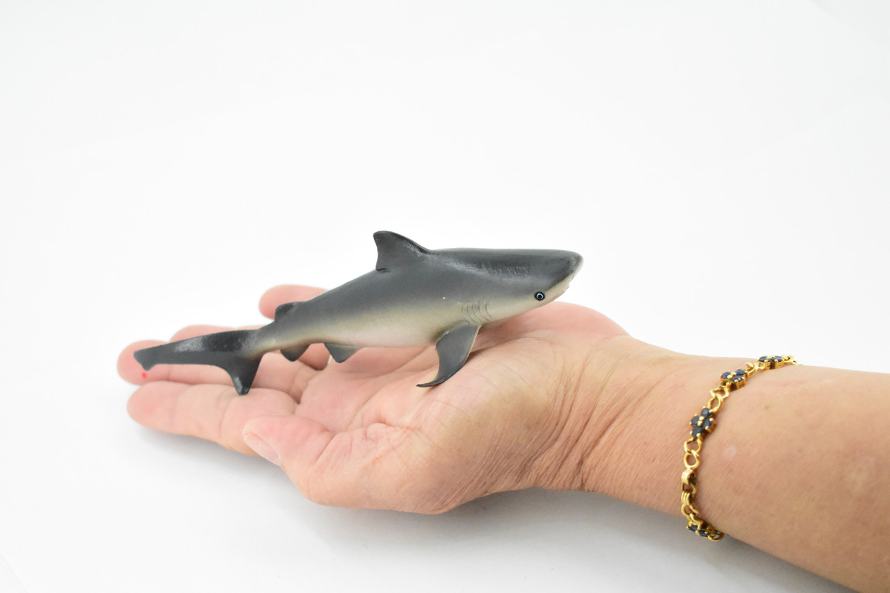  Bull Shark, Carcharhinus leucas, Museum Quality, Hand Painted, Educational, Rubber Fish, Diorama Model, Replica, Realistic Toy Figure, Kids,  6 Inches. 