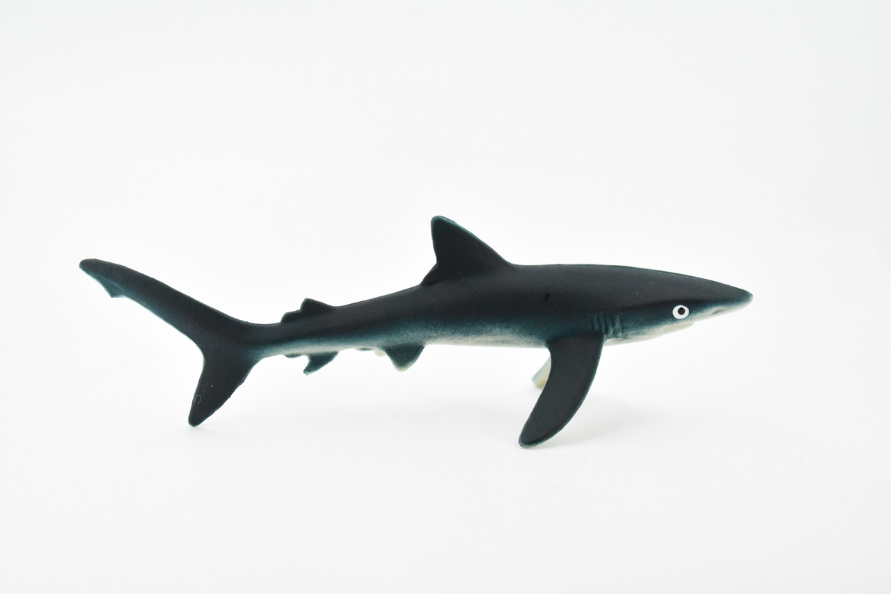 Shark, Blue Shark, Hand Painted, Rubber Fish, Realistic Toy Figure, Model, Replica, Kids, Educational, Gift,       6"    CH202 BB117