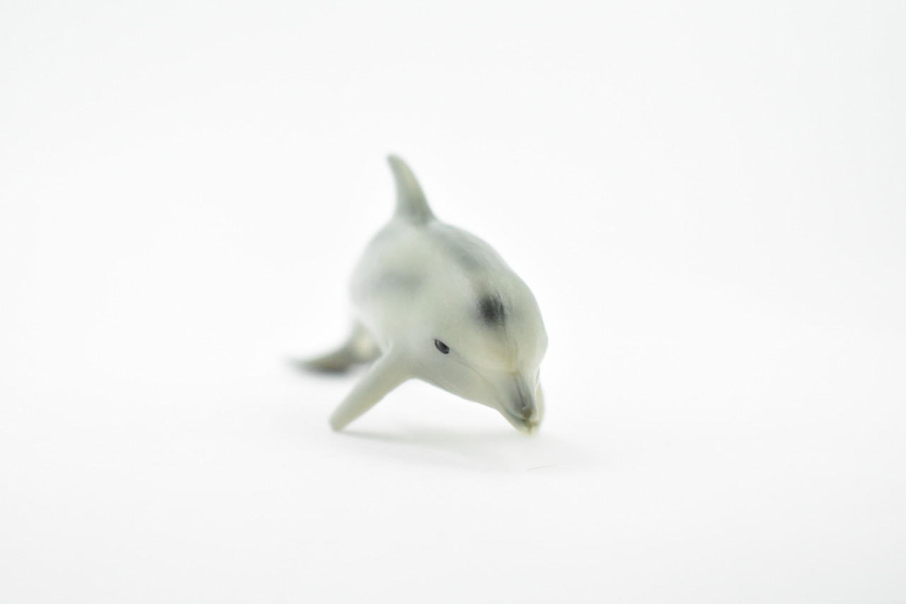 Dolphin, Bottlenose, Baby, Calf, Museum Quality, Hand Painted, Rubber Fish, Realistic Toy Figure, Model, Replica, Kids, Educational, Gift,      4"    CH203 BB117